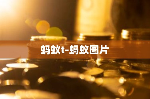 蚂蚁t-蚂蚁图片