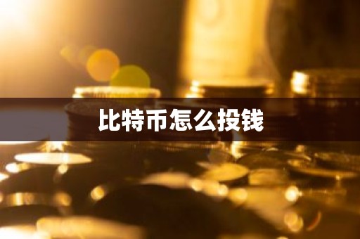 比特币怎么投钱