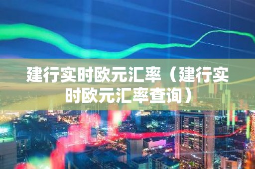 建行实时欧元汇率（建行实时欧元汇率查询）
