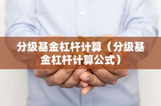 分级基金杠杆计算（分级基金杠杆计算公式）