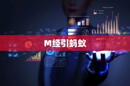 M经引蚂蚁