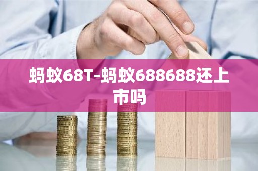 蚂蚁68T-蚂蚁688688还上市吗