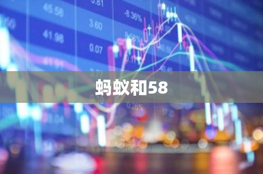 蚂蚁和58
