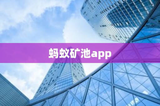 蚂蚁矿池app