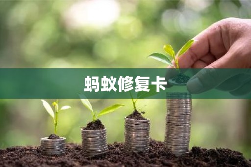 蚂蚁修复卡