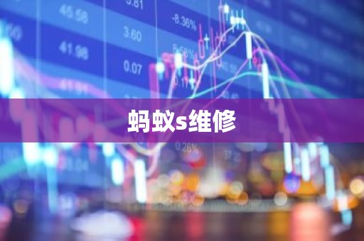 蚂蚁s维修