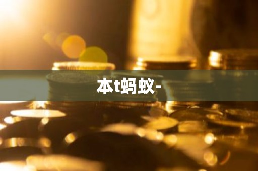 本t蚂蚁-