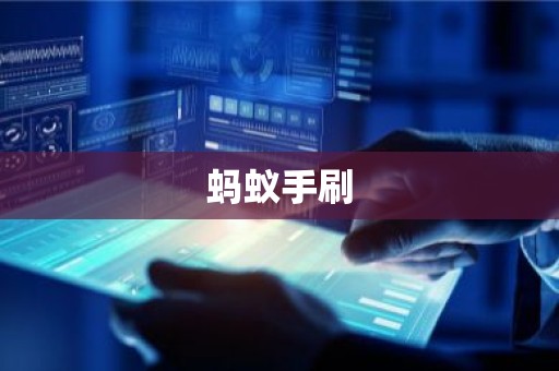 蚂蚁手刷