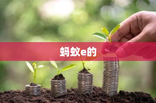 蚂蚁e的