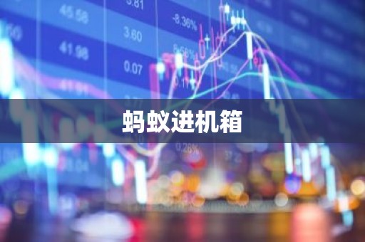 蚂蚁进机箱