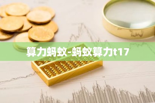 算力蚂蚁-蚂蚁算力t17