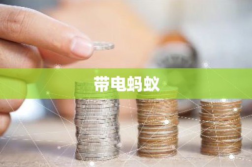 带电蚂蚁
