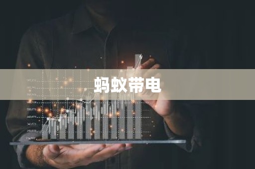 蚂蚁带电