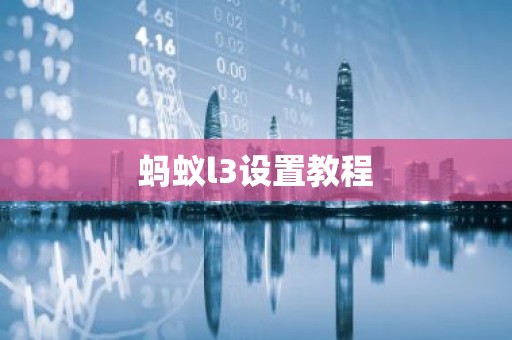 蚂蚁l3设置教程