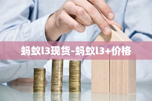 蚂蚁l3现货-蚂蚁l3+价格