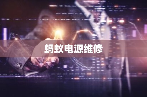 蚂蚁电源维修