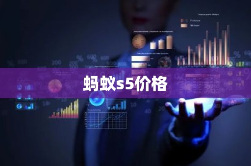 蚂蚁s5价格