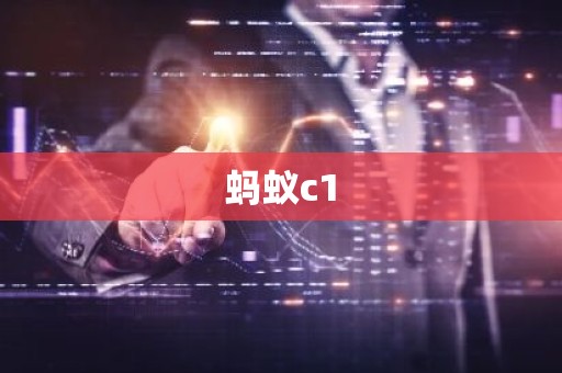 蚂蚁c1