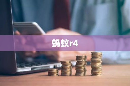 蚂蚁r4