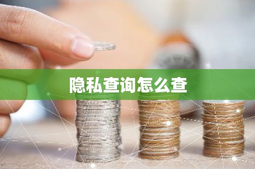 隐私查询怎么查