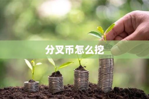 分叉币怎么挖
