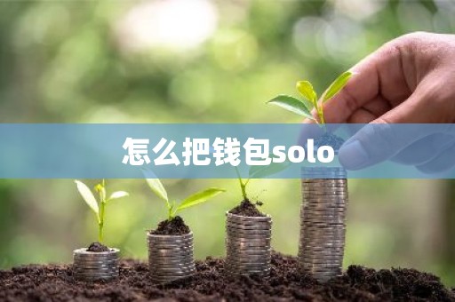 怎么把钱包solo