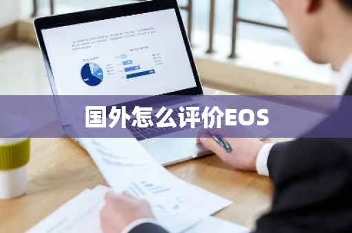 国外怎么评价EOS