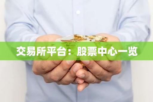 交易所平台：股票中心一览