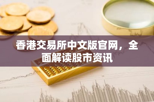 香港交易所中文版官网，全面解读股市资讯