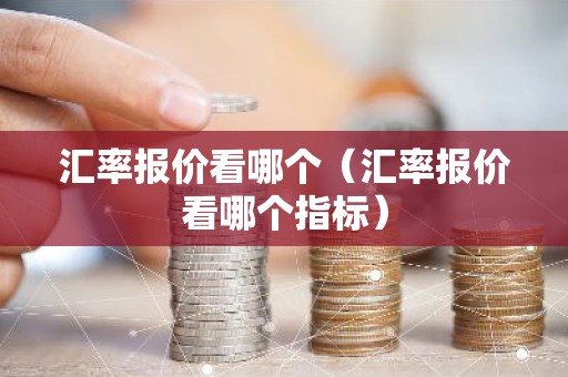 汇率报价看哪个（汇率报价看哪个指标）