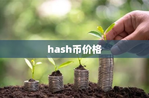 hash币价格
