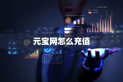 元宝网怎么充值