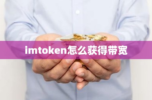imtoken怎么获得带宽