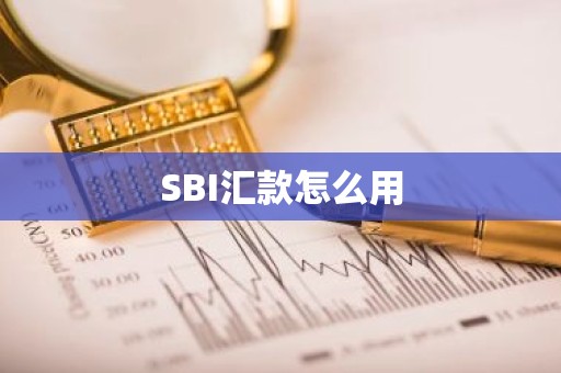 SBI汇款怎么用