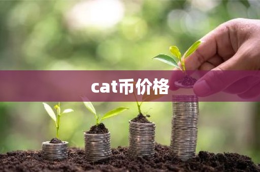 cat币价格