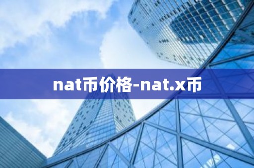 nat币价格-nat.x币