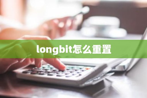 longbit怎么重置