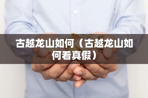 古越龙山如何（古越龙山如何看真假）