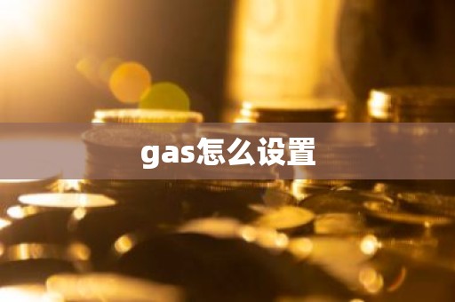 gas怎么设置