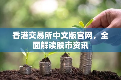 香港交易所中文版官网，全面解读股市资讯
