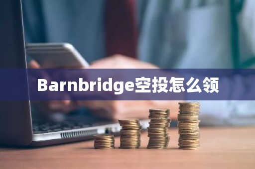 Barnbridge空投怎么领