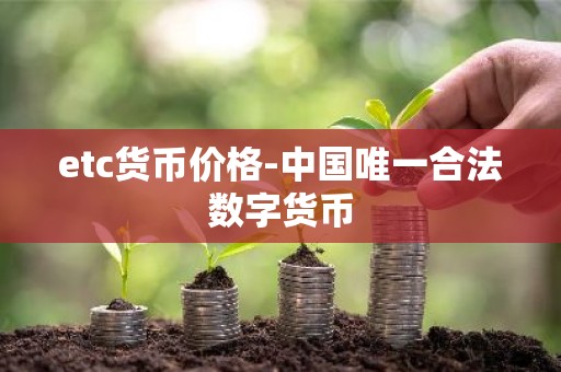 etc货币价格-中国唯一合法数字货币