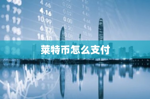 莱特币怎么支付