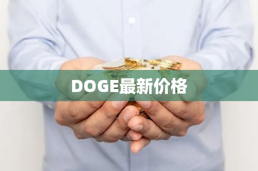 DOGE最新价格