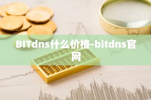 BITdns什么价格-bitdns官网