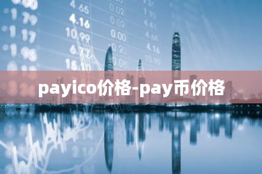payico价格-pay币价格