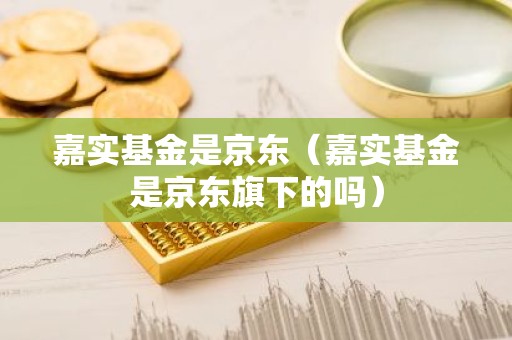 嘉实基金是京东（嘉实基金是京东旗下的吗）