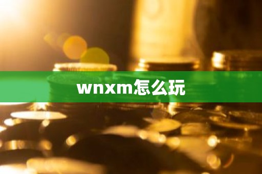 wnxm怎么玩