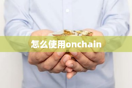 怎么使用onchain