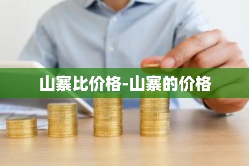 山寨比价格-山寨的价格